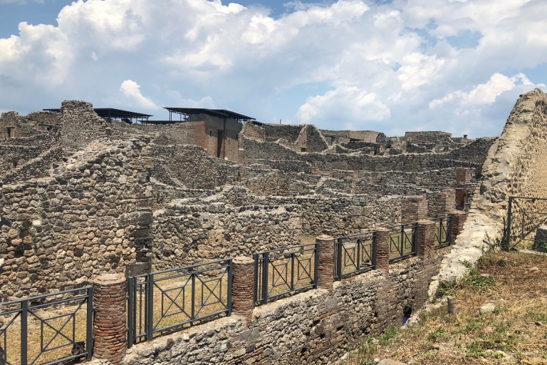 Pompeya y cata de vinos desde Sorrento