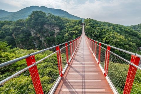 From Seoul: DMZ, 3rd Tunnel, and Gamaksan Bridge Guided Tour