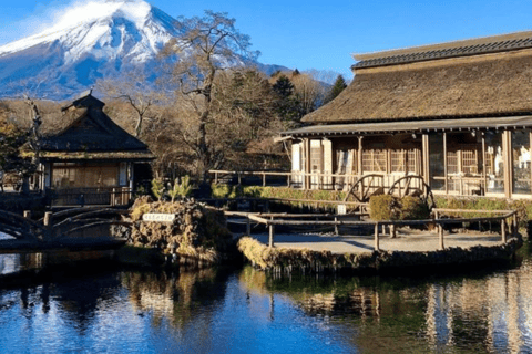 From Tokyo: Mount Fuji Full Day Customizable Private Tour
