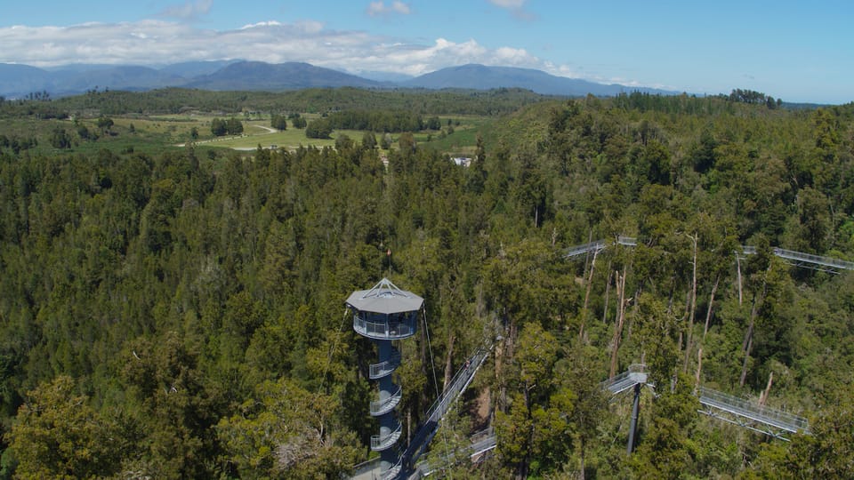 Hokitika: West Coast Tree Top Tower Zip Line and Walk | GetYourGuide