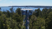 Hokitika, West Coast Tree Top Tower Zip Line and Walk - Housity