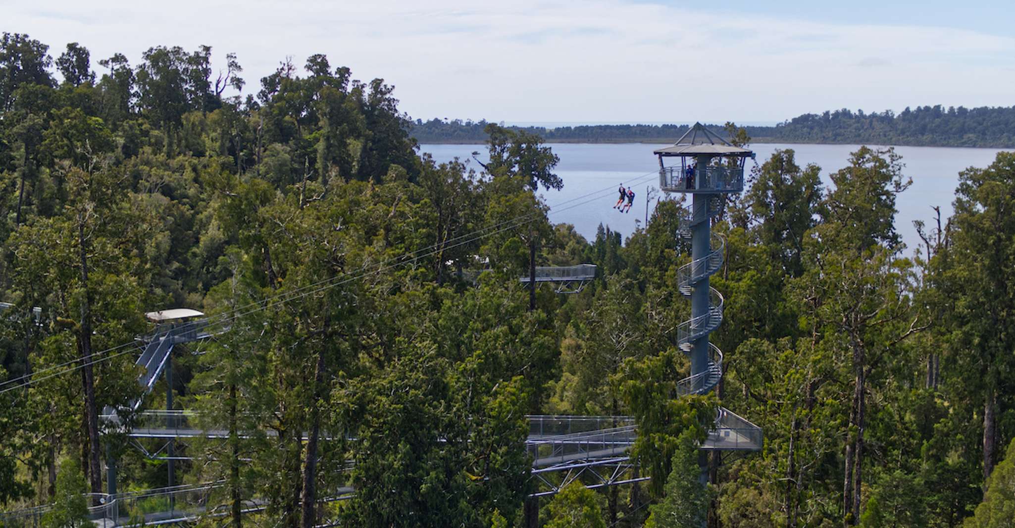 Hokitika, West Coast Tree Top Tower Zip Line and Walk - Housity