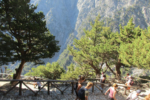 Ab Agia Pelagia, Iraklio & Malia: Samaria-Schlucht-TagestourAbholung in Iraklio und Ammoudara