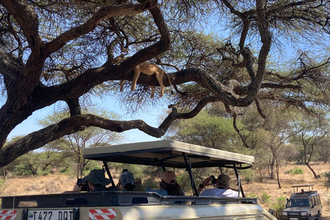 Zanzibar: 3-Day Safari to Lake Manyara & Ngorongoro Crater