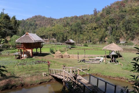 Chiangmai: Highlights Full-Day Tour with Private Driver