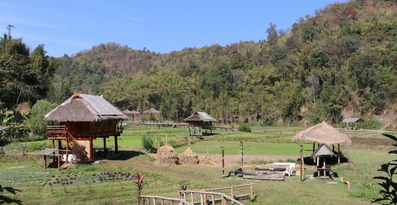 Chiangmai: Highlights Full-Day Tour with Private Driver