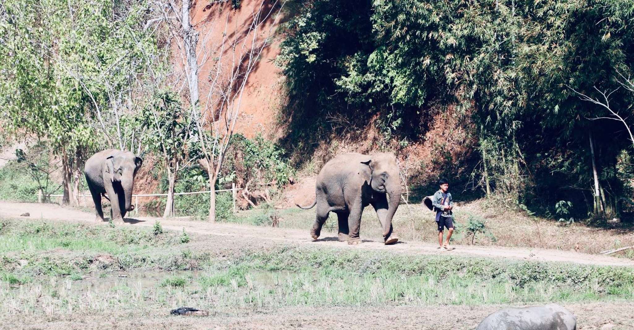 Chiangmai, Highlights Ganztägige Tour mit Privatfahrer - Hizvo