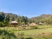 Chiangmai, Highlights Full-Day Tour con Autista Privato - Hizvo