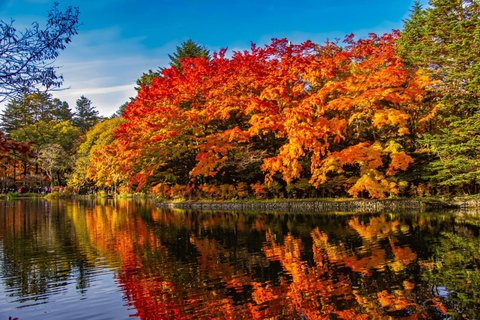 Vanuit Tokio: privédagtour Karuizawa