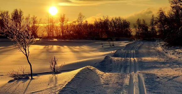 Tromsø: Cross Country Guided Skiing Course