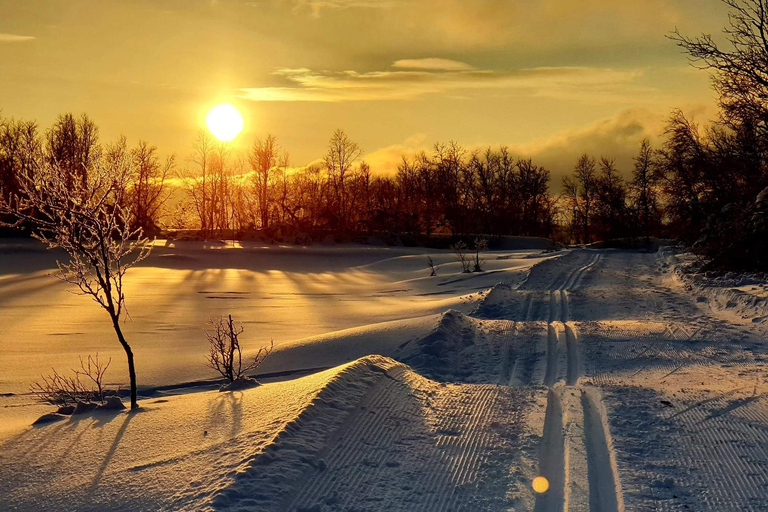 Tromsø: Curso de cross country com um guia e vistas