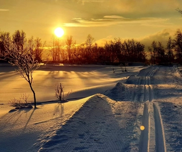 Tromsø: Cross Country Guided Skiing Course