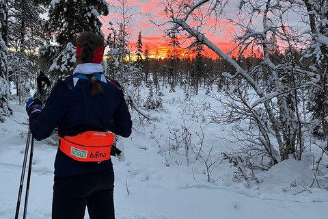 Tromsø: Percorso di sci di fondo con guida e vista