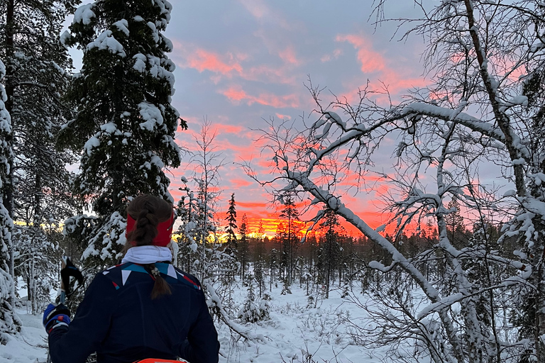 Tromsø: Cross Country Course With a View Tromsø: Cross Country course With a View