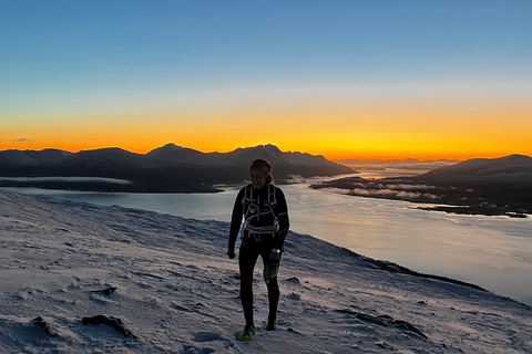 Tromsø: Percorso di sci di fondo con guida e vista