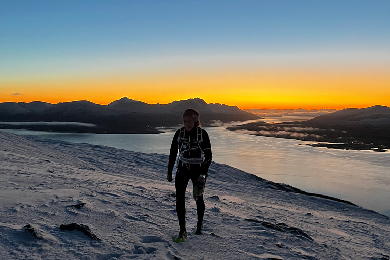 Tromsø: Percorso di sci di fondo con guida e vista