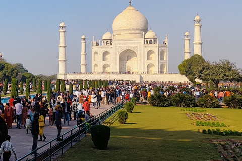 Delhi: Envägs privat transfer till/från AgraTransfer från Delhi till Agra