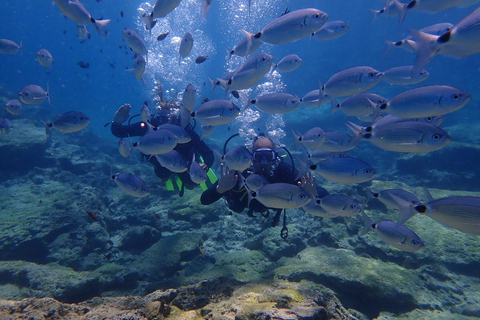 Protaras: Cape Grecko Single Dive for Qualified Divers