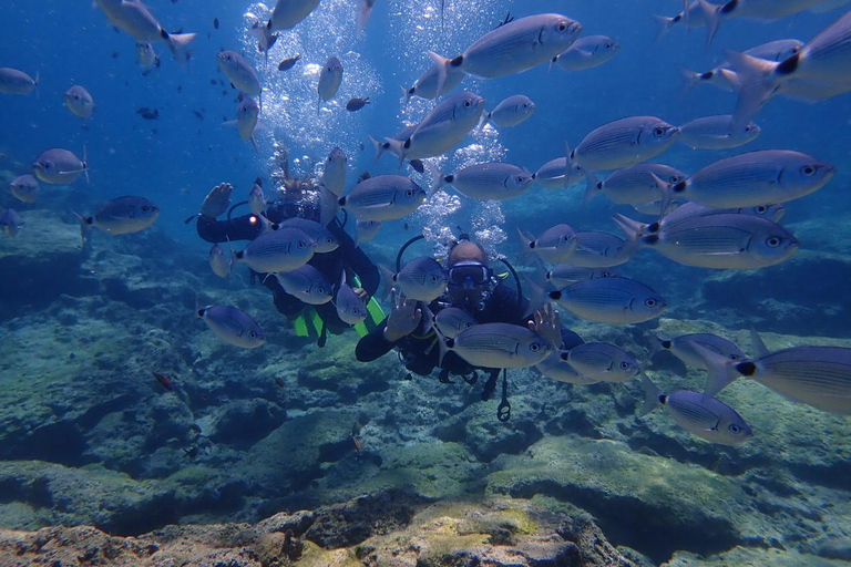 Protaras: Cape Grecko Single Dive for Qualified Divers