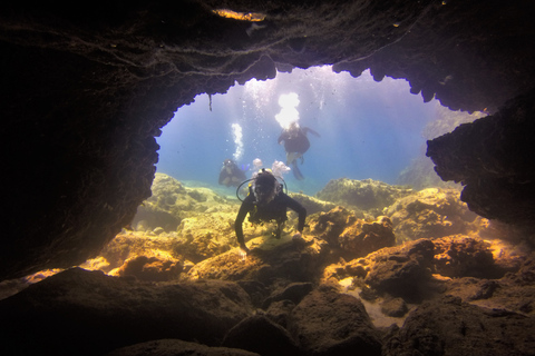 Protaras: Cape Grecko Single Dive for Qualified Divers