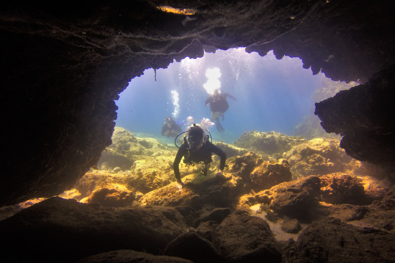 Protaras: Cape Grecko Single Dive for Qualified Divers