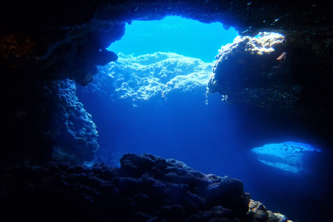 Protaras: Cape Grecko Single Dive for Qualified Divers