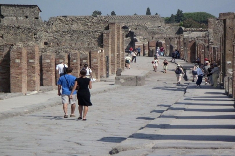 Z Sorrento: Pompeje i Wezuwiusz