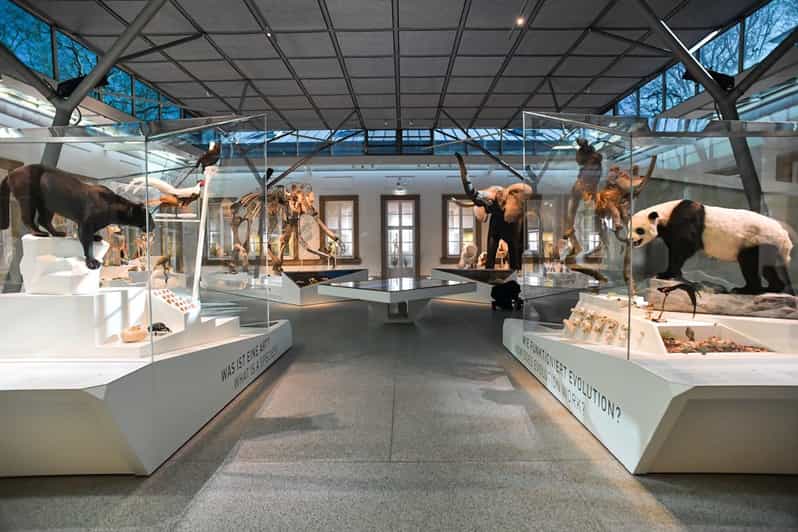 Stuttgart Staatliches Museum F r Naturkunde Eintrittskarte GetYourGuide
