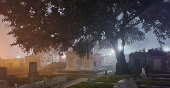 New Orleans: Friedhofs-Bustour bei Dunkelheit mit exklusivem Zugang