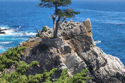 Da San Francisco: tour privato di Monterey con Pebble Beach