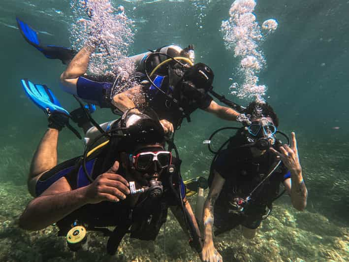 Mallorca Private Beginner Scuba Dive with Instructor GetYourGuide