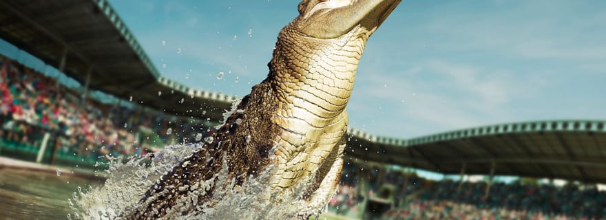 Depuis Sunshine Coast : Billet d'entrée au zoo d'Australie et transfert