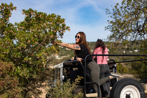 Albufeira: Half-Day Algarve Jeep Safari