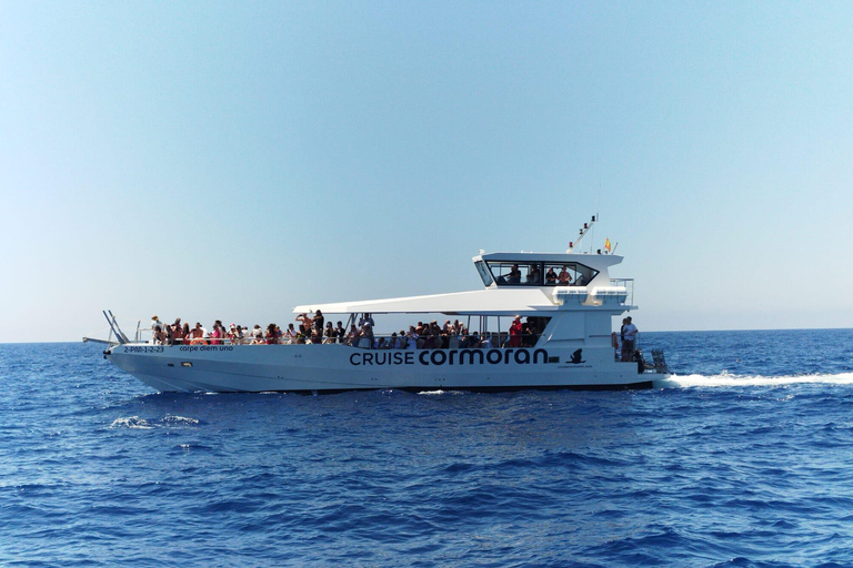 From Palma: Afternoon Dolphin-Watching Boat Tour Meeting Point: Directly at the La Lonja Pier at 2 PM