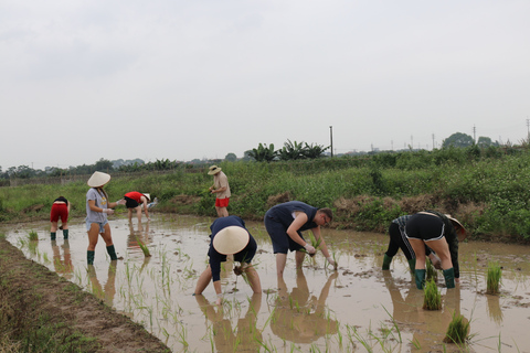 Private Wet Rice Growing Day Tour from Hanoi with Lunch