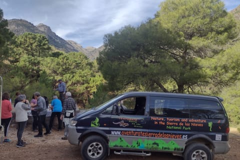 4x4 in the heart of the Sierra de las Nieves National Park