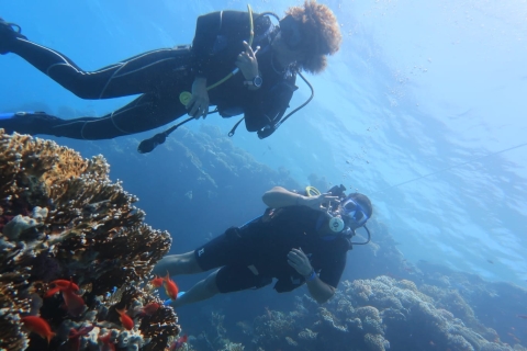 Catane : Expérience de plongée sous-marine sur l'Etna et les CyclopéensCatane : Randonnée sur l'Etna et plongée dans les Cyclopéens en anglais