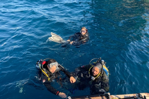 Catane : Expérience de plongée sous-marine sur l'Etna et les CyclopéensCatane : Randonnée sur l'Etna et plongée dans le Cyclope en italien