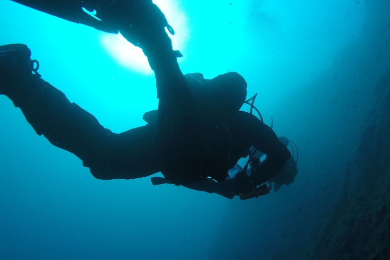 Catane : Expérience de plongée sous-marine sur l'Etna et les CyclopéensCatane : Randonnée sur l'Etna et plongée dans le Cyclope en italien