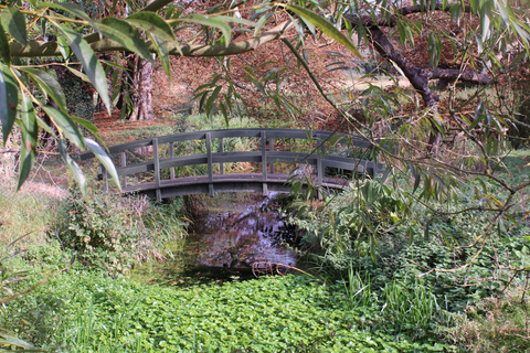 Cambridge: Grantchester Bike Tour