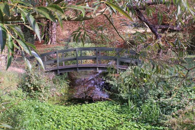 Cambridge: Grantchester Bike Tour