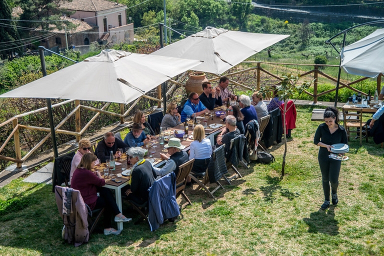 Wine and Lunch Tour Guided Tour in Italian