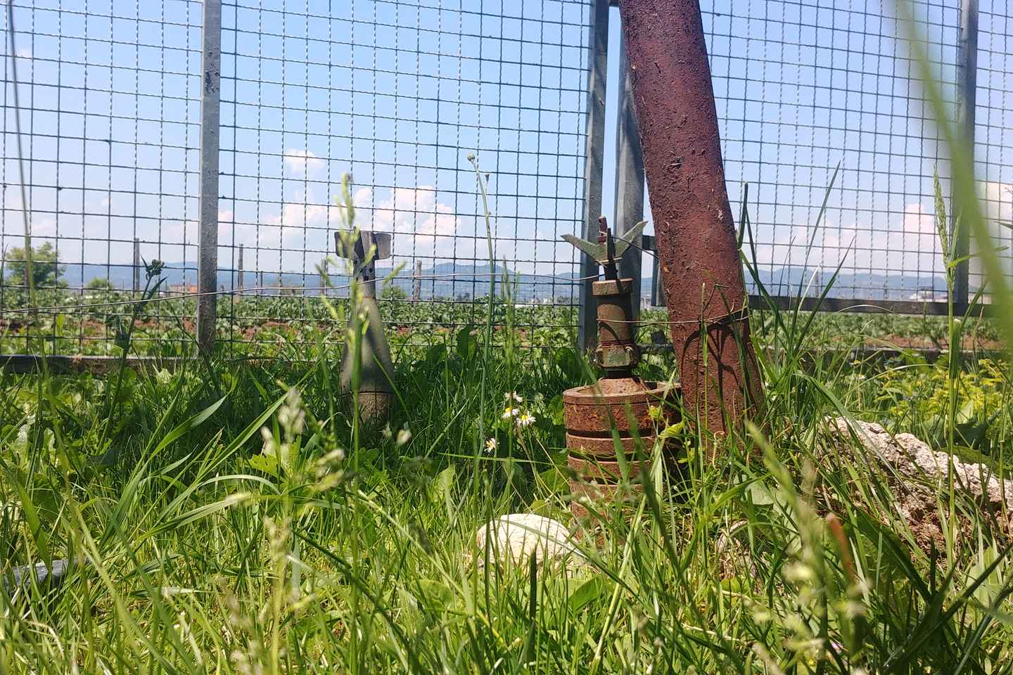 Inside the Siege: Sarajevo’s Story of Survival