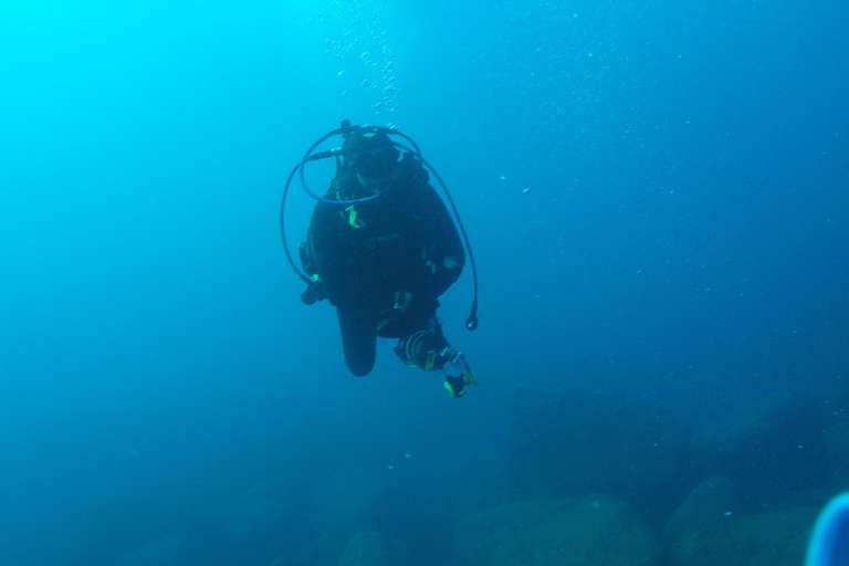 Catania: Gulf Scuba Diving Tour with Marine Biologist