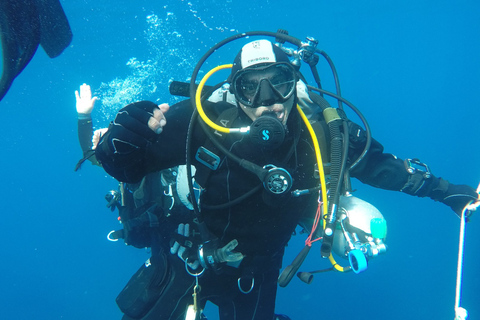 Catania: Gulf Scuba Diving Tour with Marine Biologist