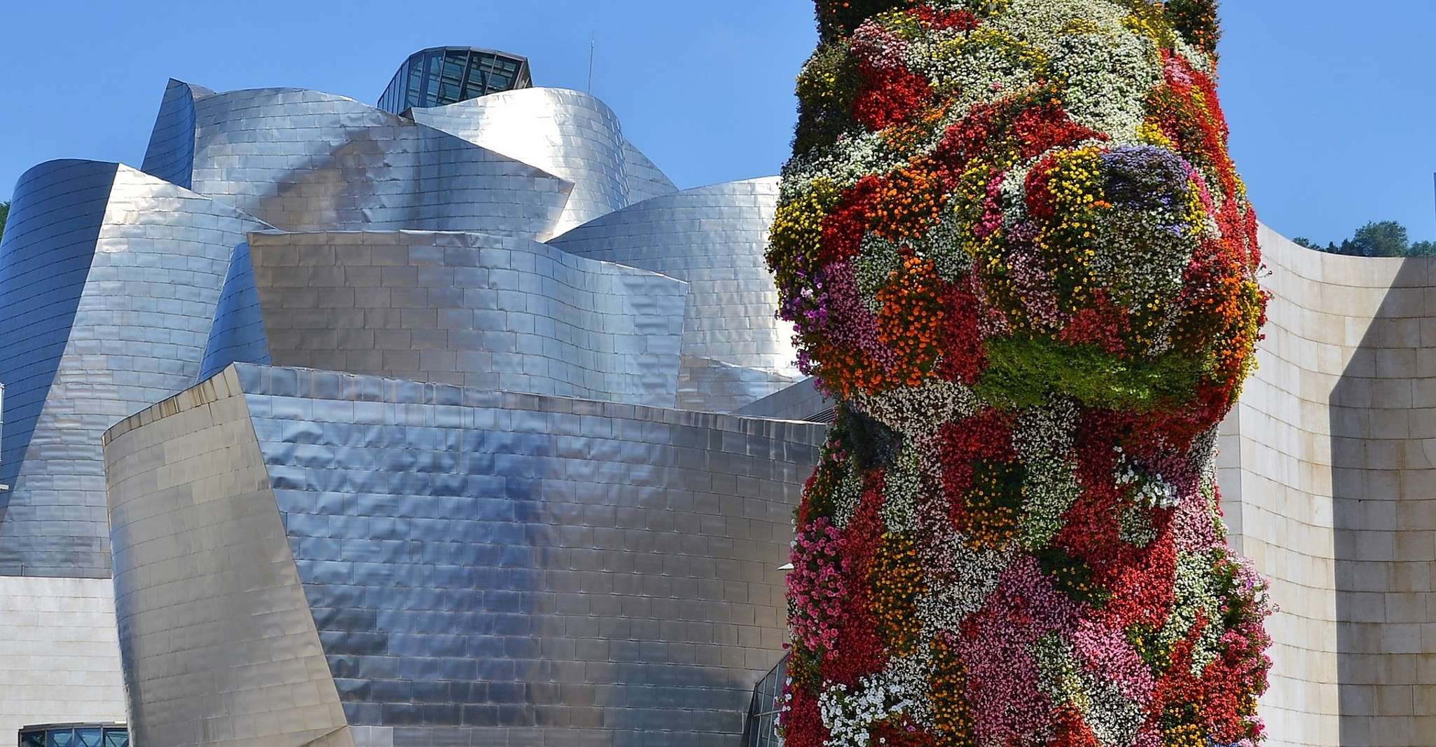 Bilbao City & Guggenheim Museum with Lunch From San Sebastia - Housity