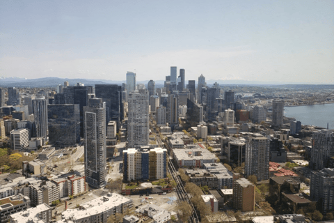 Seattle: City Walking Tour with Local Guide
