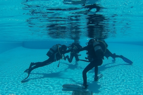 Madeira: Open Water Diver-cursus