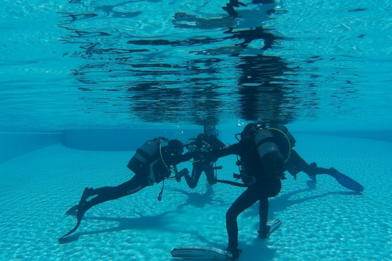 Madeira: Open Water Diver First Certification Course