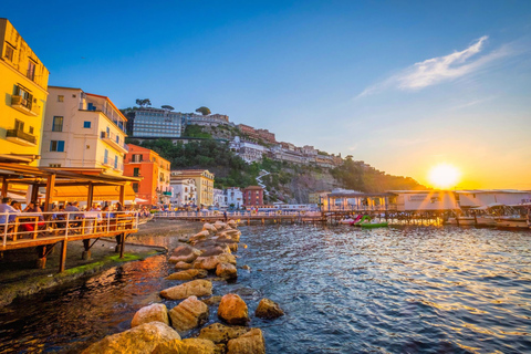 From Positano: Sorrento & Pompeii Private Tour w/ Transfers
